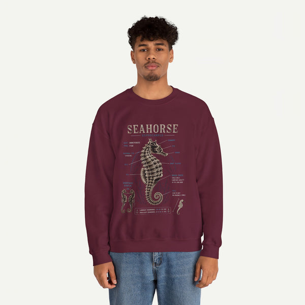 Seahorse Anatomy Crewneck Sweatshirt