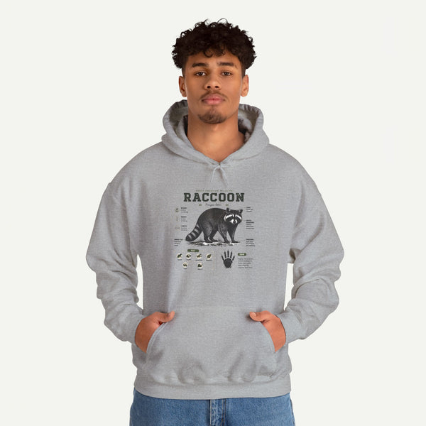 Raccoon Anatomy Hoodie — Vintage Wildlife Illustration Sweatshirt