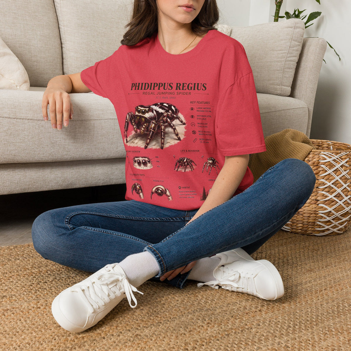 Phidippus Regius Jumping Spider Anatomy T-Shirt — Educational Arachnid Tee