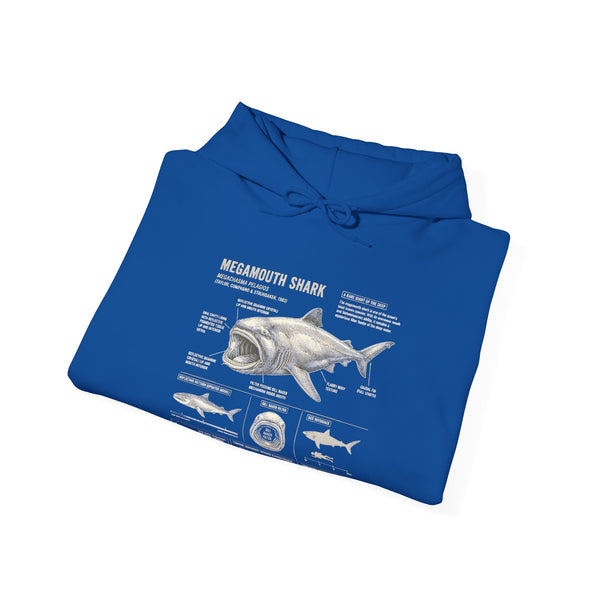 Shark Anatomy Hoodie — Vintage Megalodon Illustration Pullover