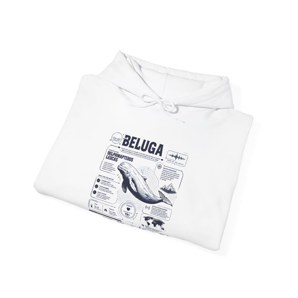 Beluga Whale Graphic Hoodie - Marine Life Diagram Sweatshirt