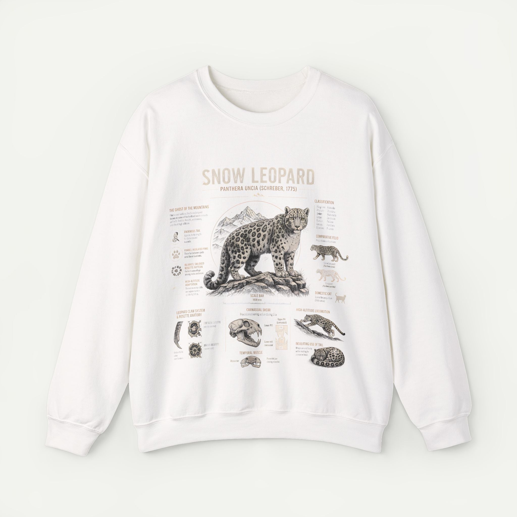 Snow Leopard Anatomy Sweatshirt — Vintage Wildlife Diagram Crewneck Secondary image