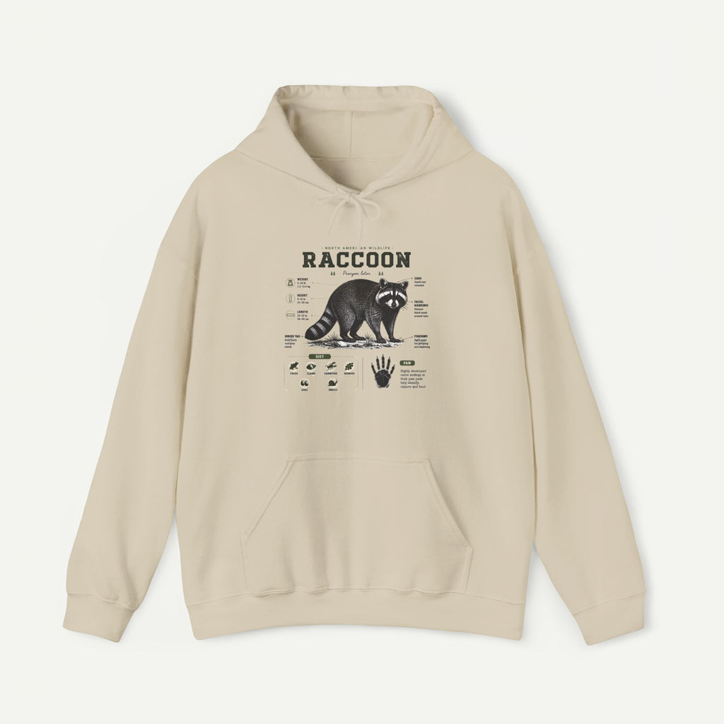 Raccoon Anatomy Hoodie — Vintage Wildlife Illustration Sweatshirt