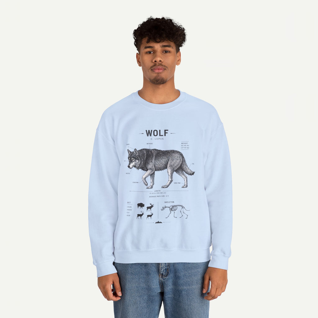 Wolf Anatomy Crewneck Sweatshirt