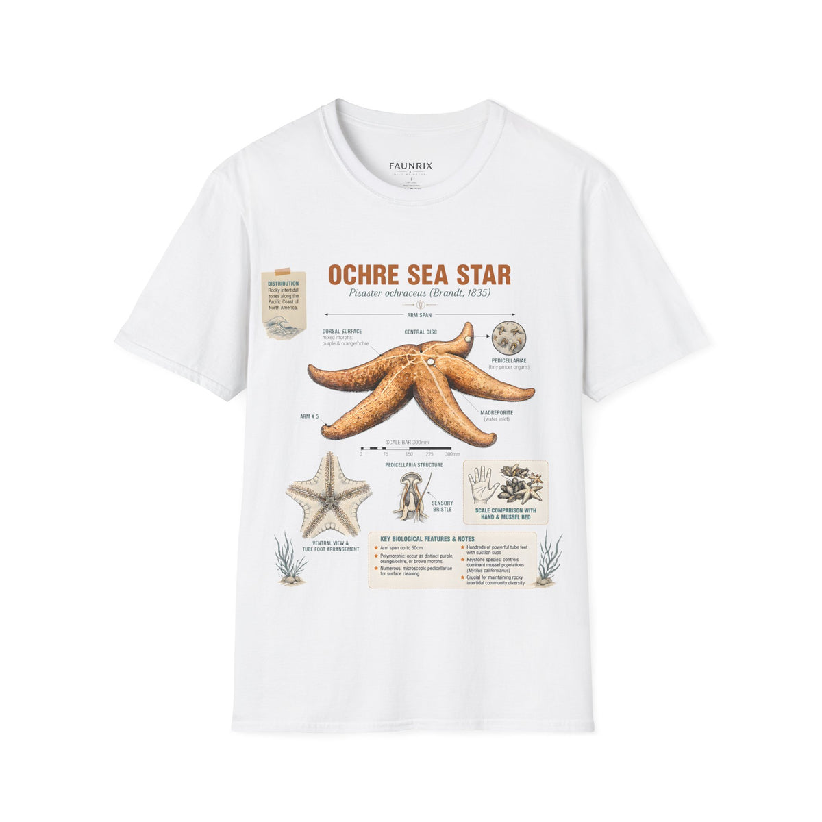 Sea Star Anatomy T-Shirt — Ochre Starfish Illustration Tee Main image