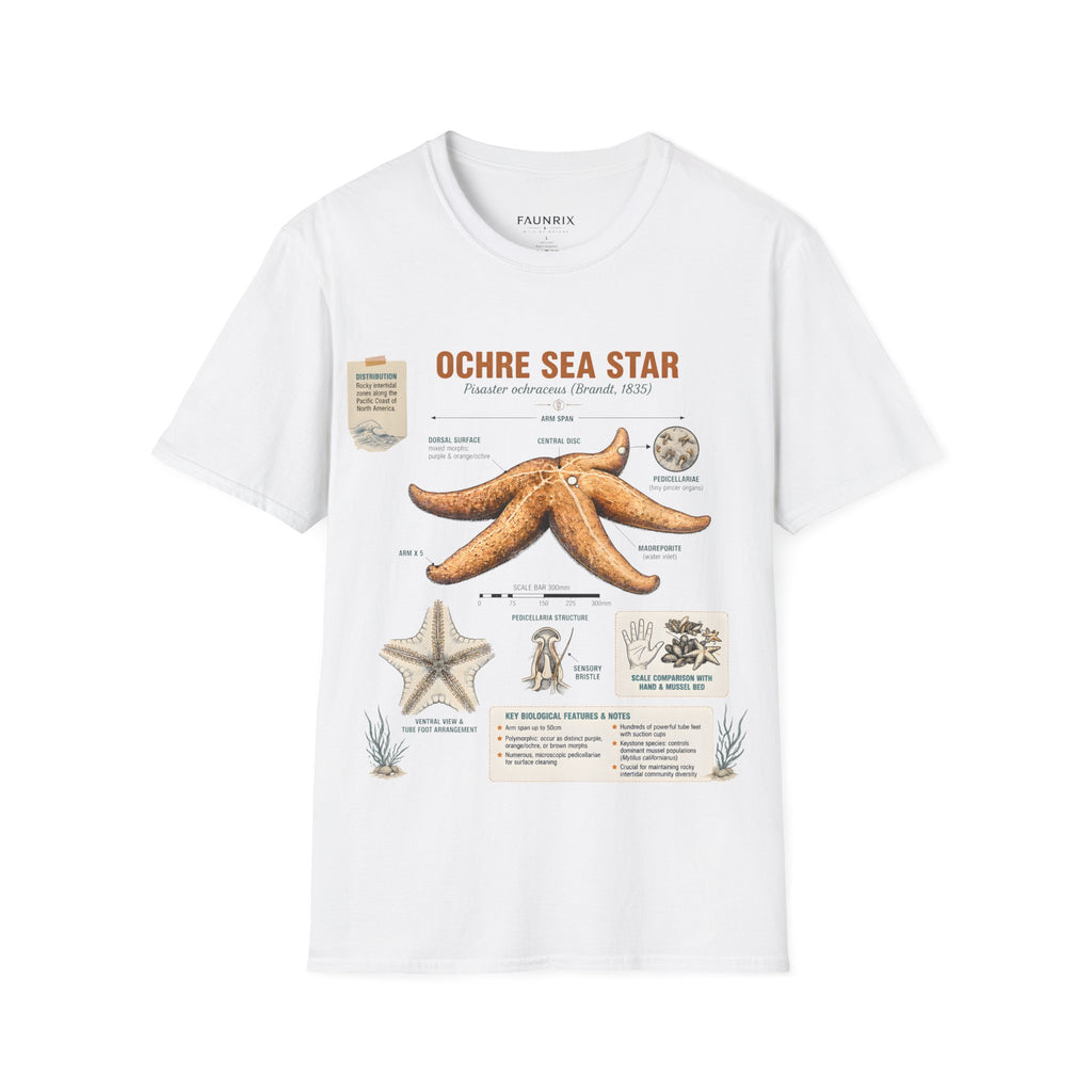 Sea Star Anatomy T-Shirt — Ochre Starfish Illustration Tee