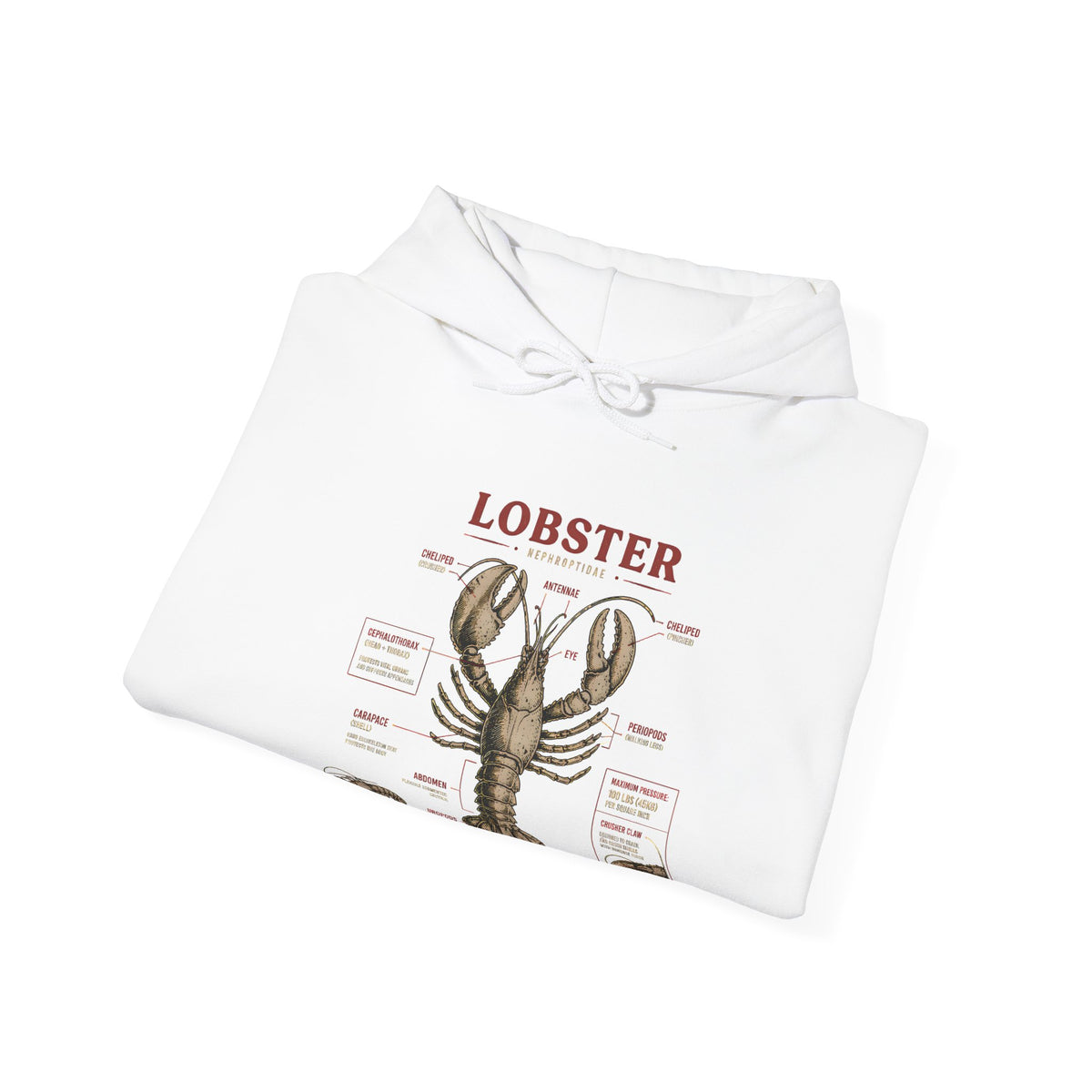 Lobster Anatomy Hoodie – Nautical Seafood Illustration Pullover