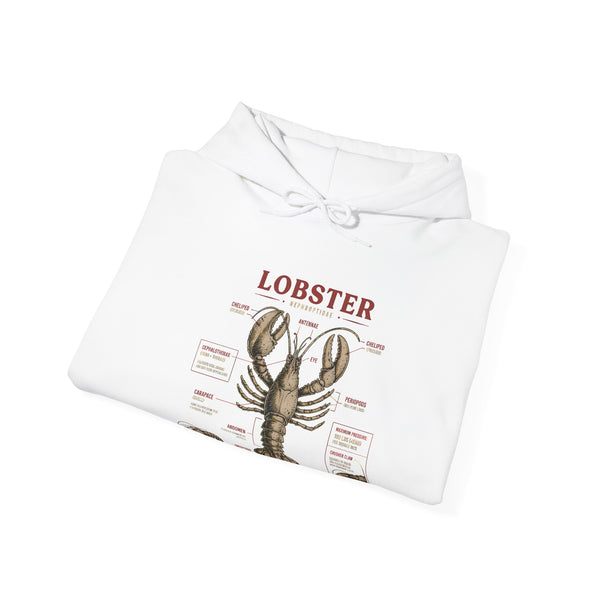 Lobster Anatomy Hoodie – Nautical Seafood Illustration Pullover