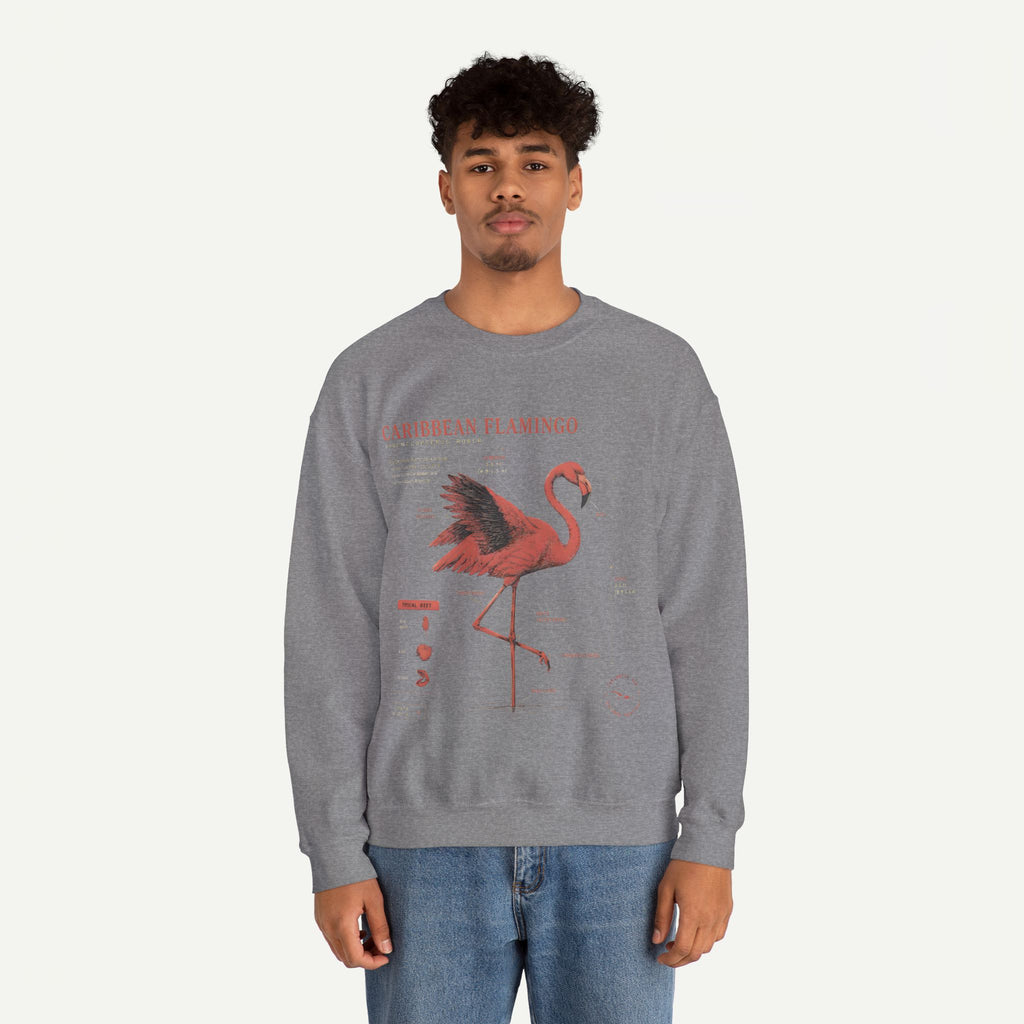 Flamingo Anatomy Field Guide Crewneck Sweatshirt