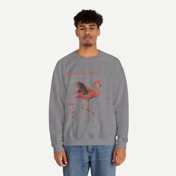 Flamingo Anatomy Field Guide Crewneck Sweatshirt