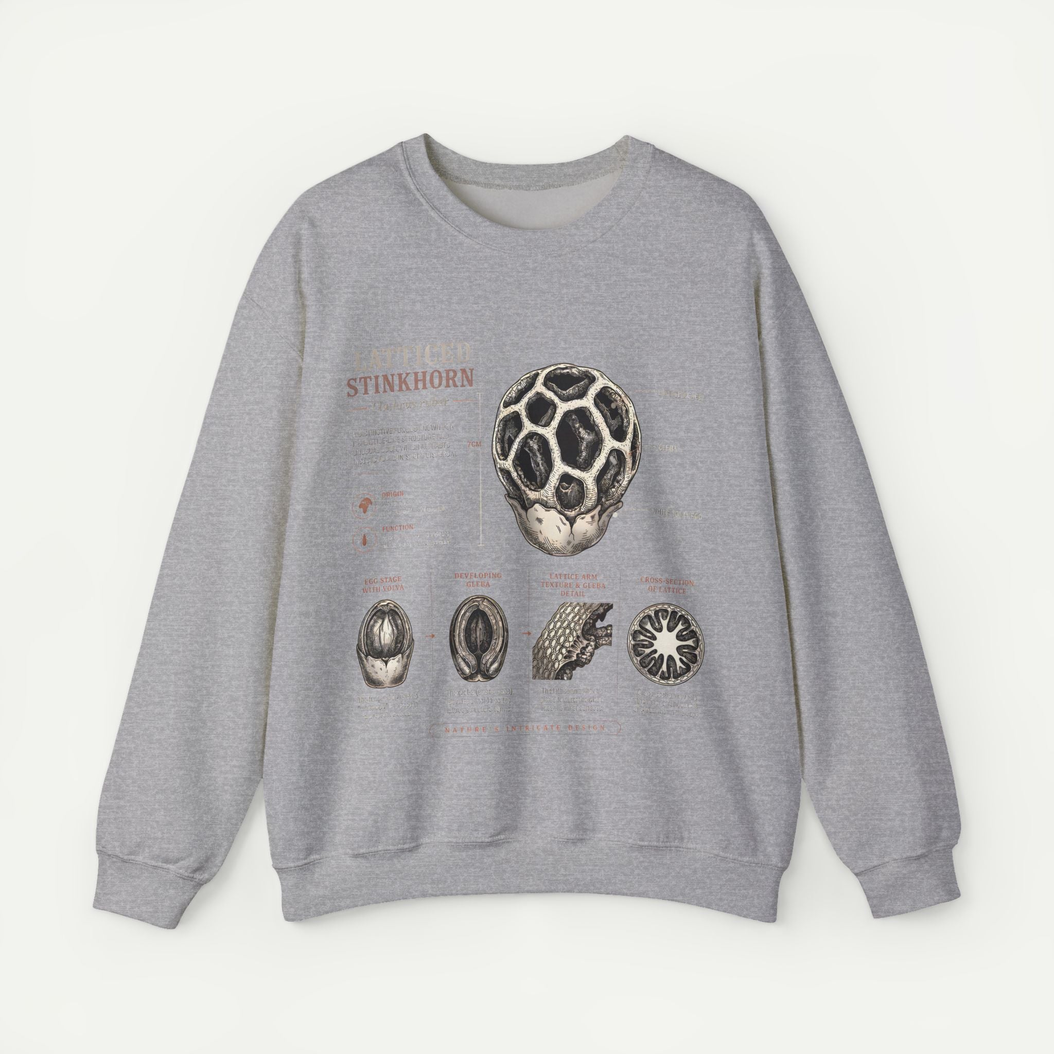 Mushroom Anatomy Sweatshirt – Latticeed Stinkhorn Mycology Crewneck Secondary image
