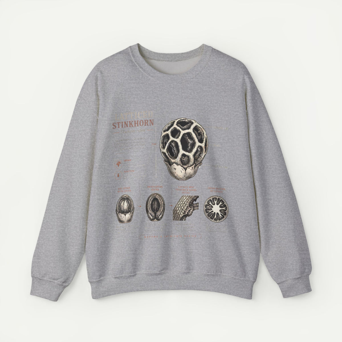 Mushroom Anatomy Sweatshirt – Latticeed Stinkhorn Mycology Crewneck