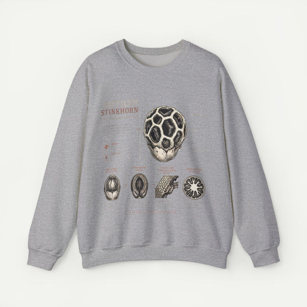 Mushroom Anatomy Sweatshirt – Latticeed Stinkhorn Mycology Crewneck