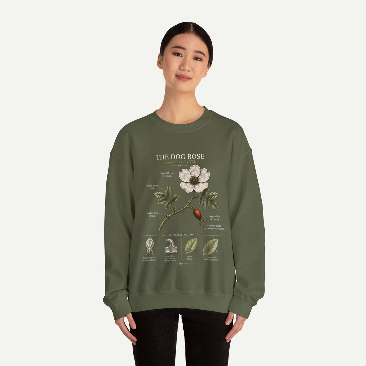 Dog Rose Botanical Sweatshirt — Vintage Floral Anatomy Crewneck