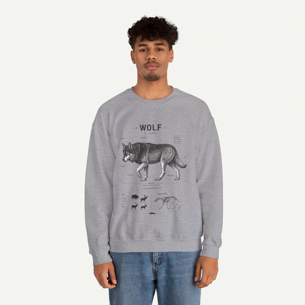 Wolf Anatomy Crewneck Sweatshirt