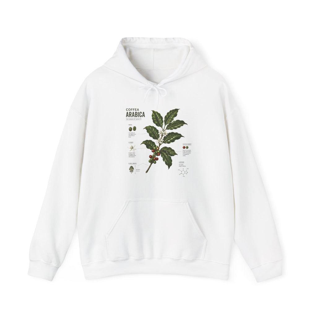 Coffee Plant Hoodie — Coffea Arabica Botanical Illustration Sweatshirt