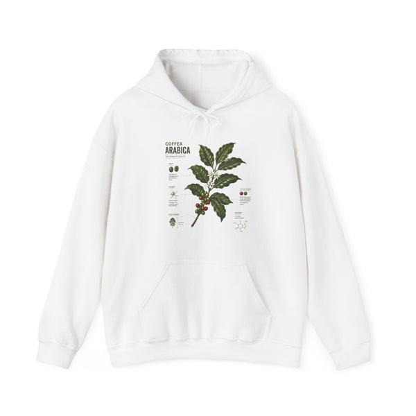 Coffee Plant Hoodie — Coffea Arabica Botanical Illustration Sweatshirt