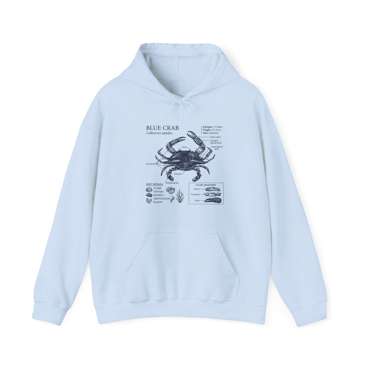 Blue Crab Anatomy Hoodie – Nautical Marine Biology Graphic Sweatshirt
