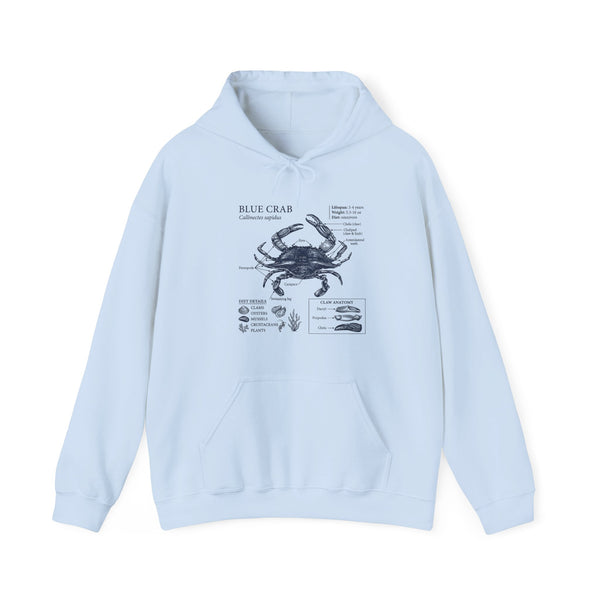 Blue Crab Anatomy Hoodie – Nautical Marine Biology Graphic Sweatshirt
