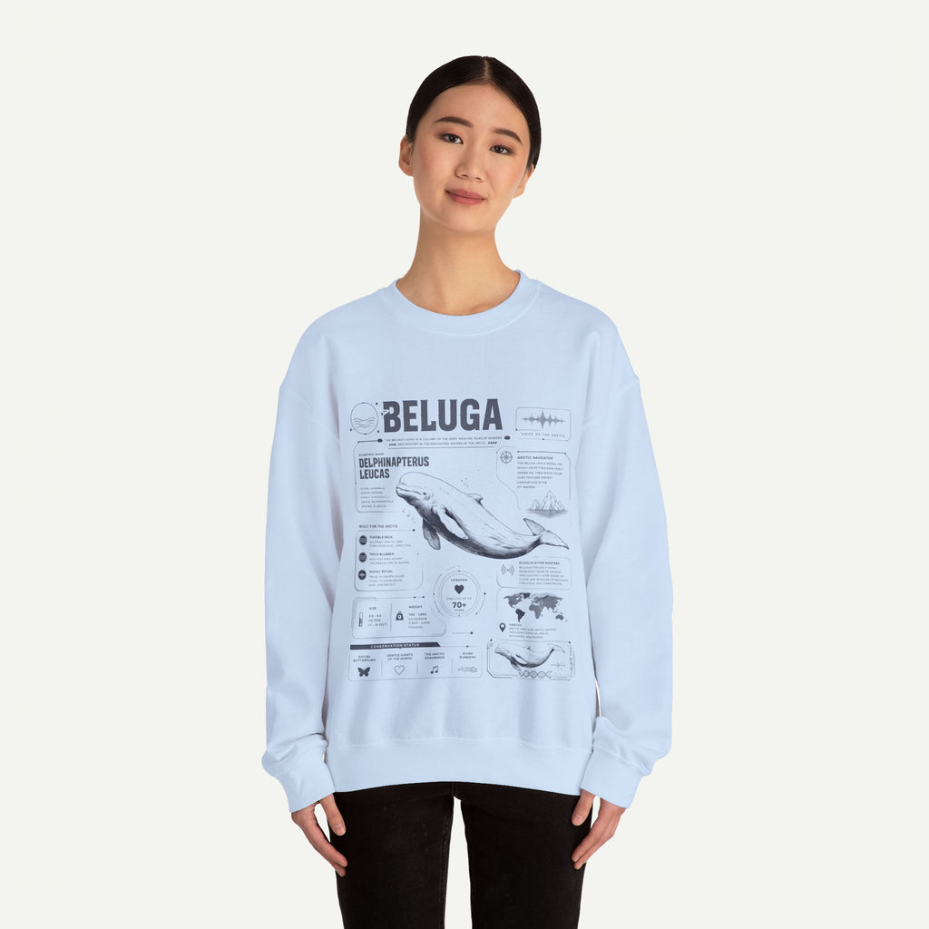Beluga Whale Anatomy Sweatshirt