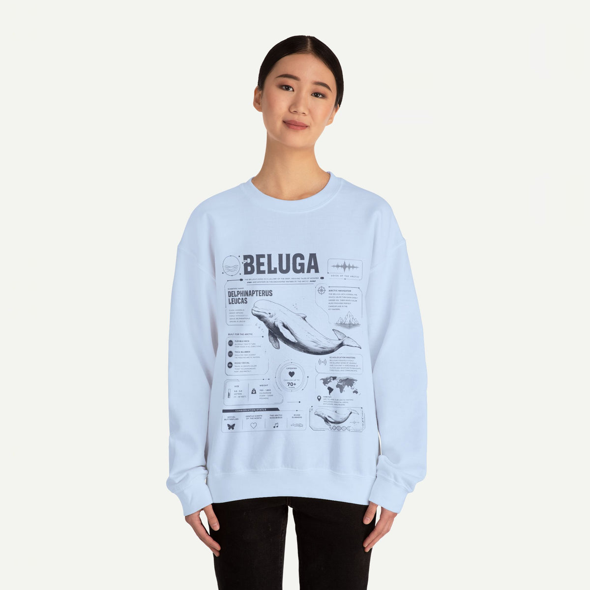 Beluga Whale Anatomy Sweatshirt