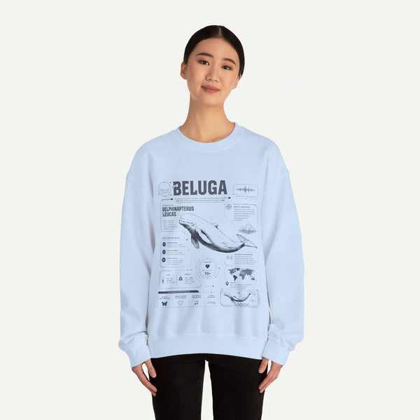 Beluga Whale Anatomy Sweatshirt