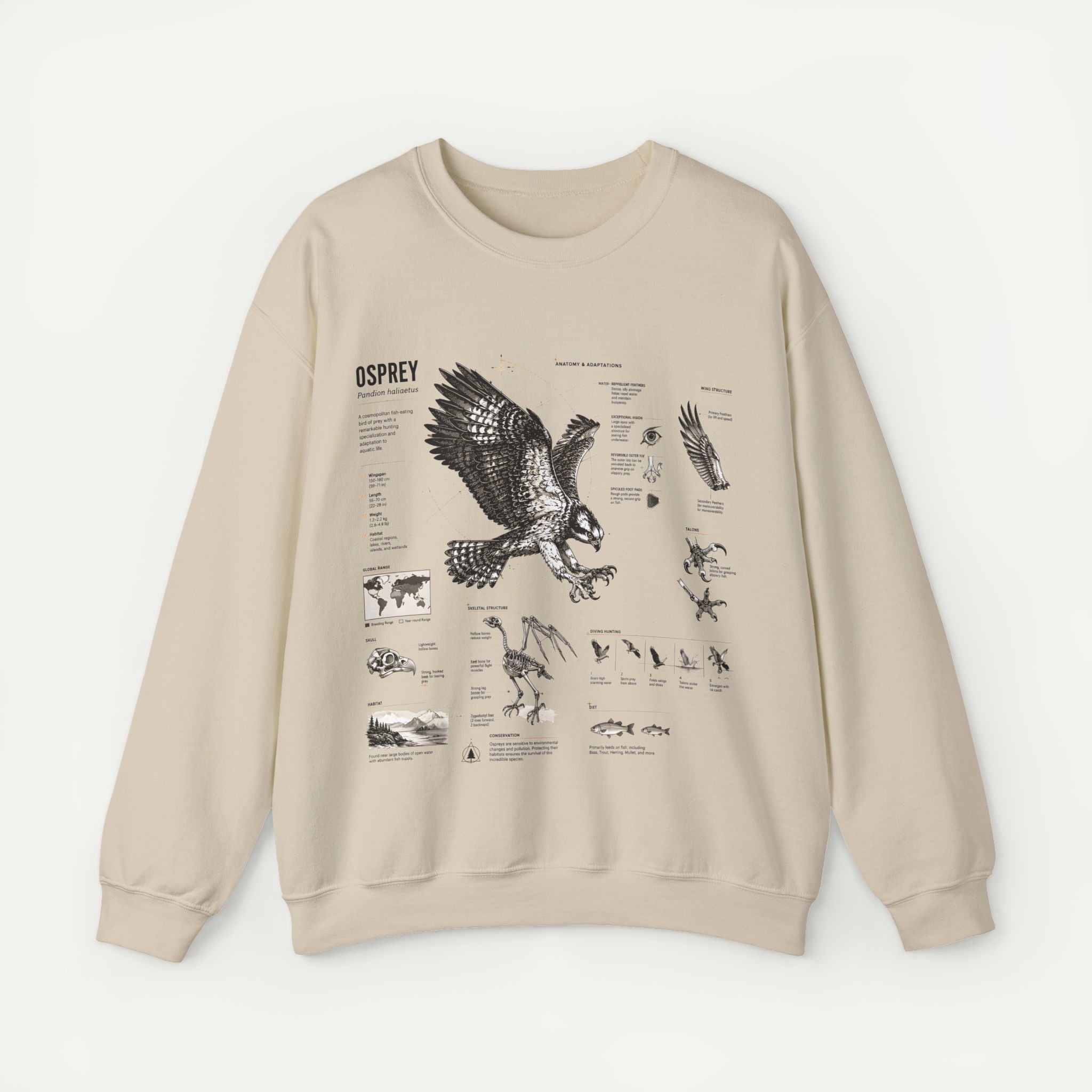 Osprey Anatomy Sweatshirt — Illustrated Bird Guide Pullover Secondary image