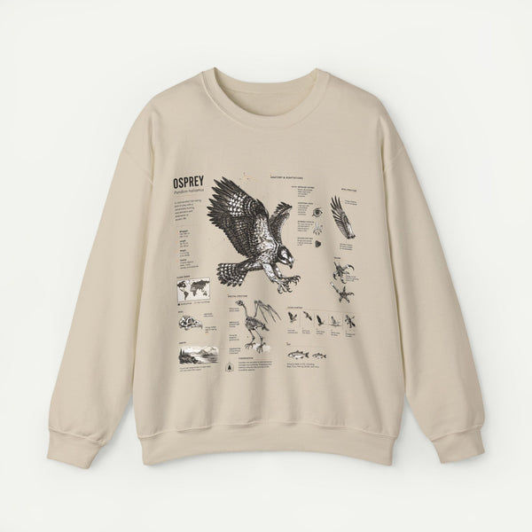 Osprey Anatomy Sweatshirt — Illustrated Bird Guide Pullover