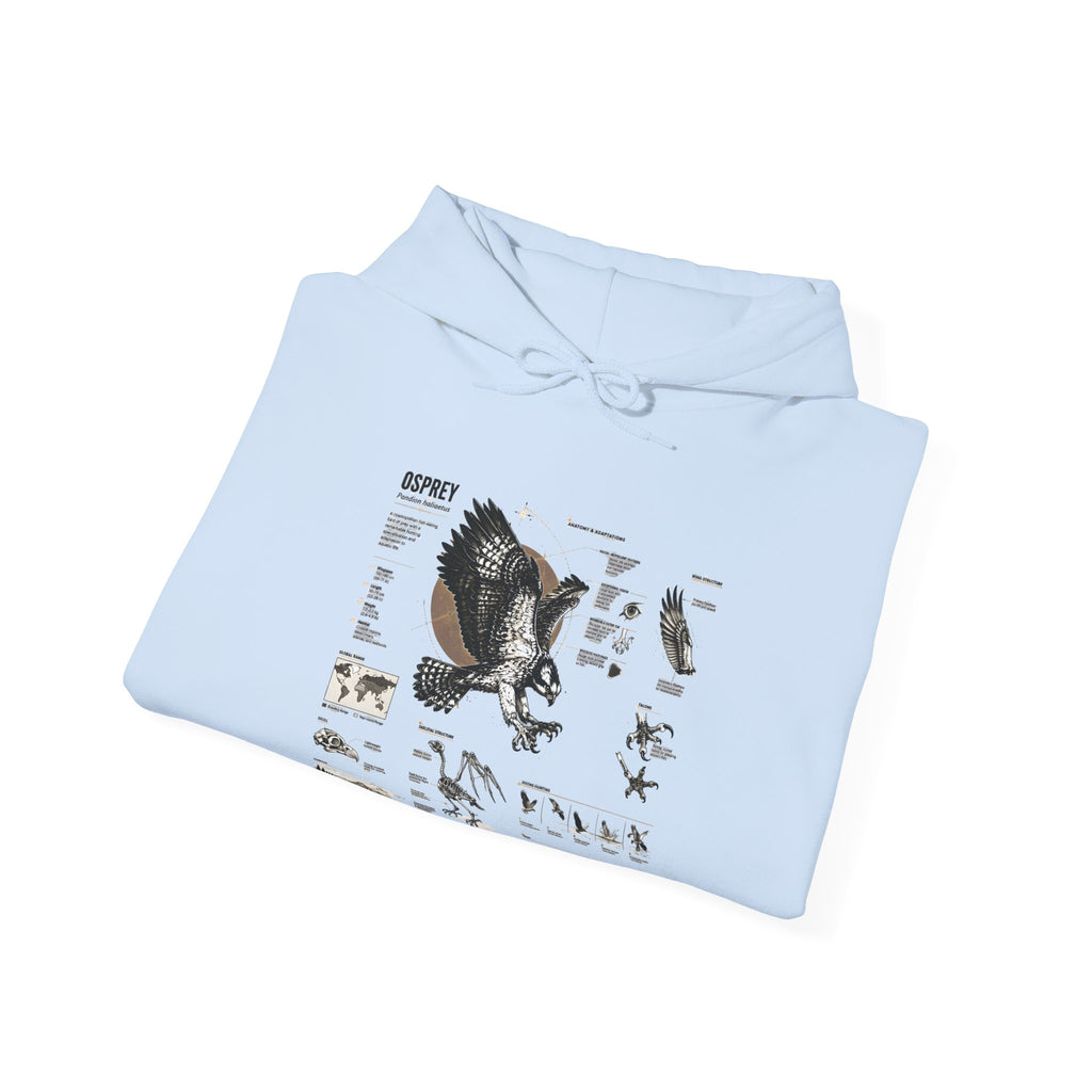 Eagle Anatomy Hoodie — Vintage Ornithology Graphic Sweatshirt
