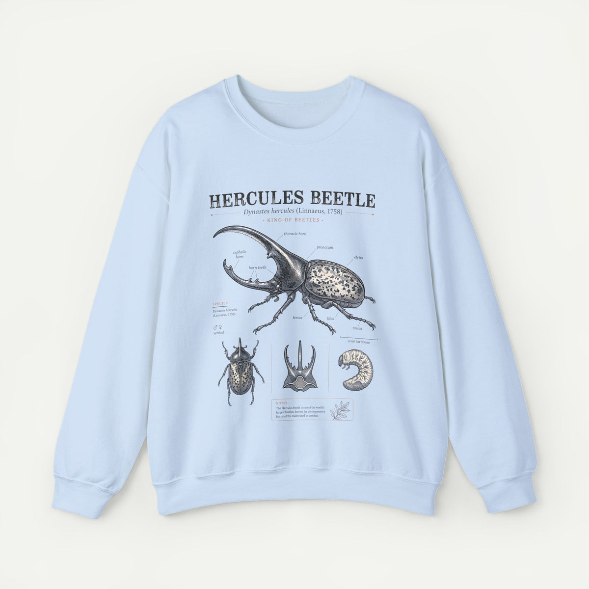Hercules Beetle Anatomy  Crewneck Sweatshirt – Vintage Entomology Graphic