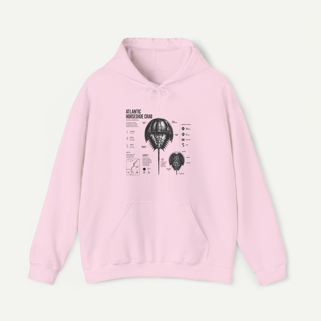 Horseshoe Crab Anatomy Hoodies