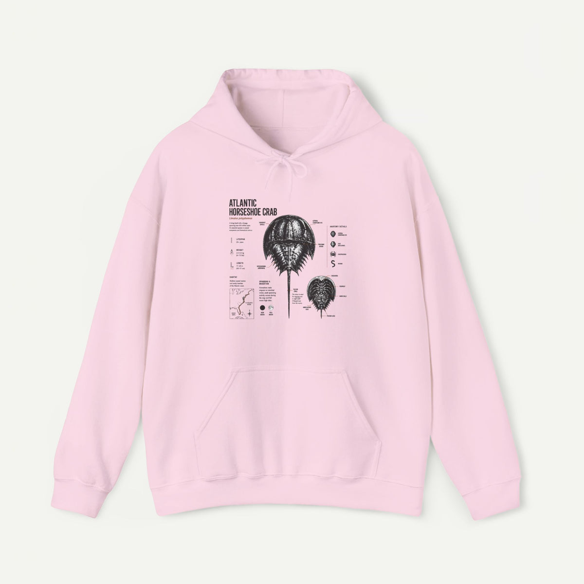 Horseshoe Crab Anatomy Hoodies
