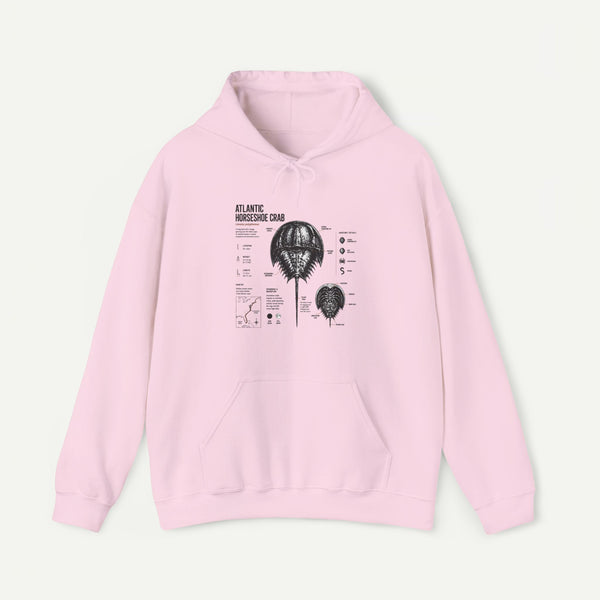 Horseshoe Crab Anatomy Hoodies
