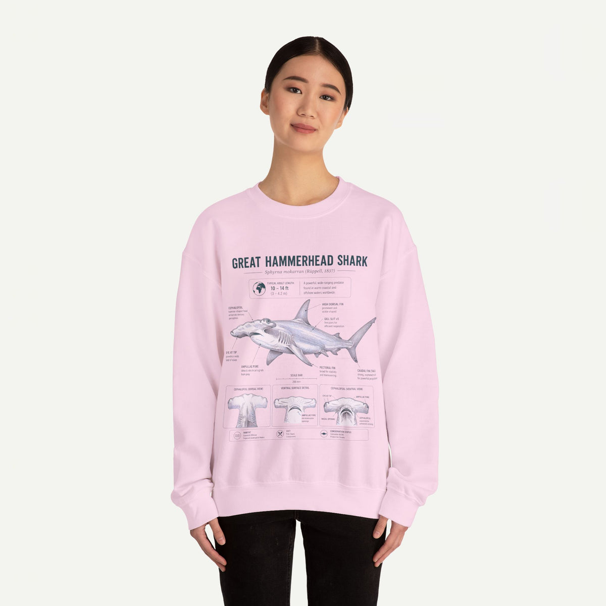 Hammerhead Shark Anatomy Sweatshirt — Great Hammerhead Shark Illustration