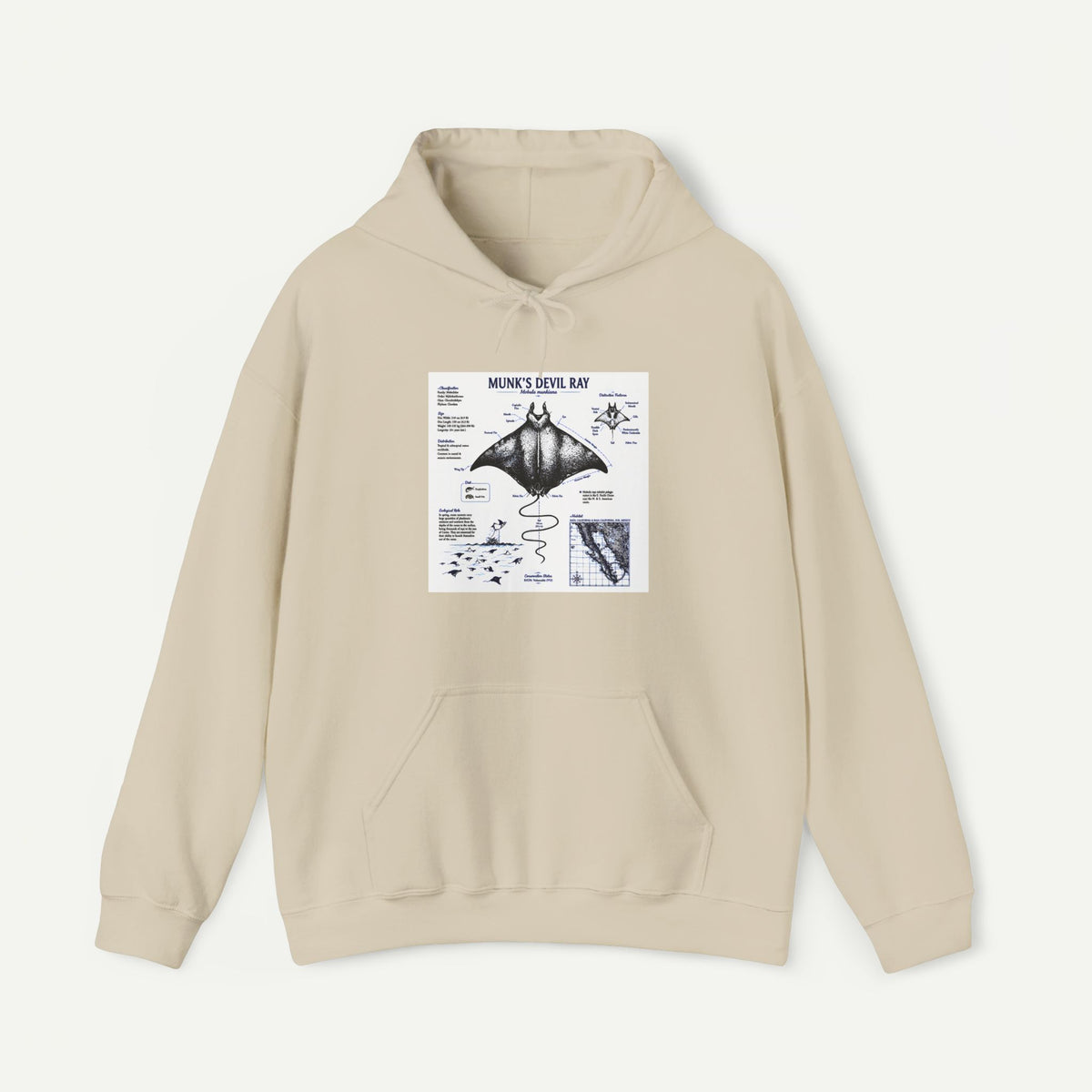 Manta Ray Anatomy Hoodie — Marine Life Graphic Pullover