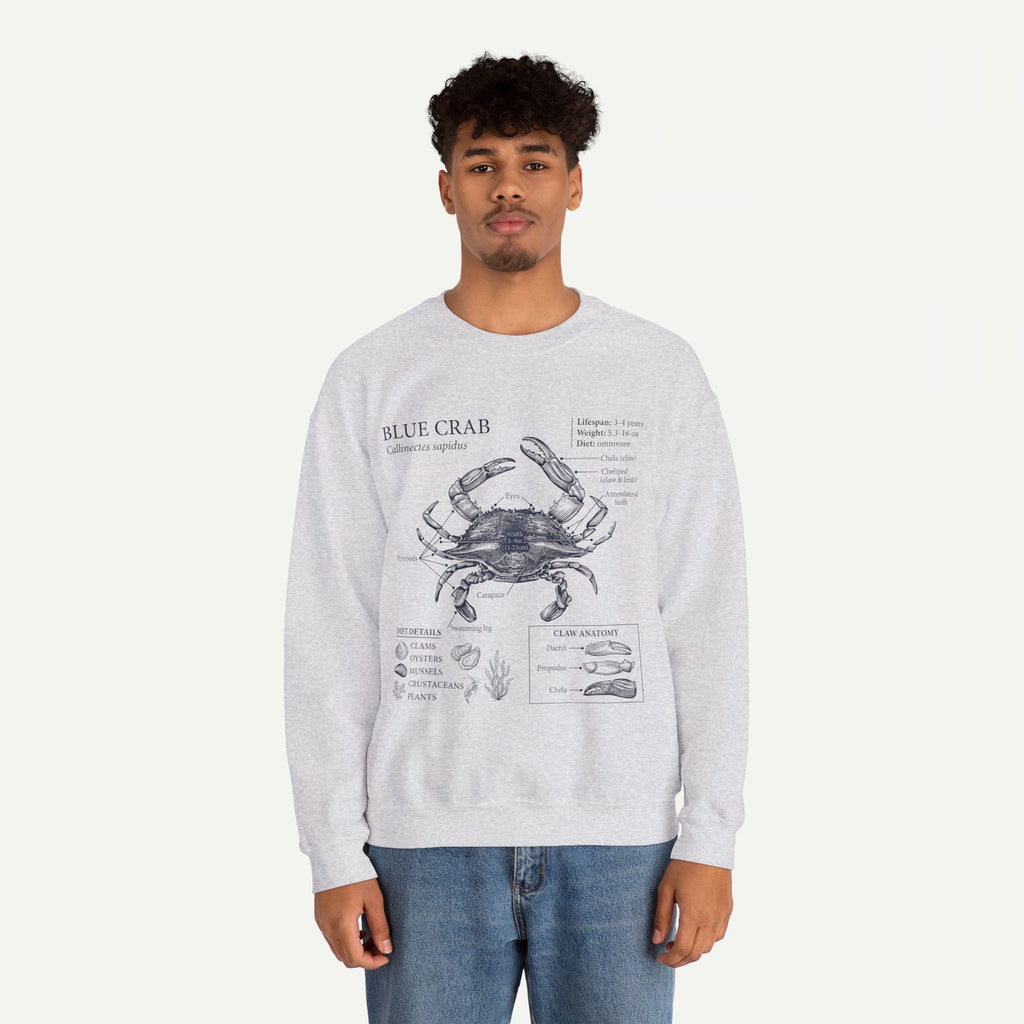 Blue Crab Anatomy Crewneck Sweatshirt – Marine Biology Graphic Pullover