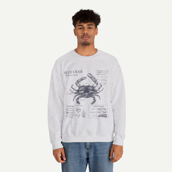 Blue Crab Anatomy Crewneck Sweatshirt – Marine Biology Graphic Pullover
