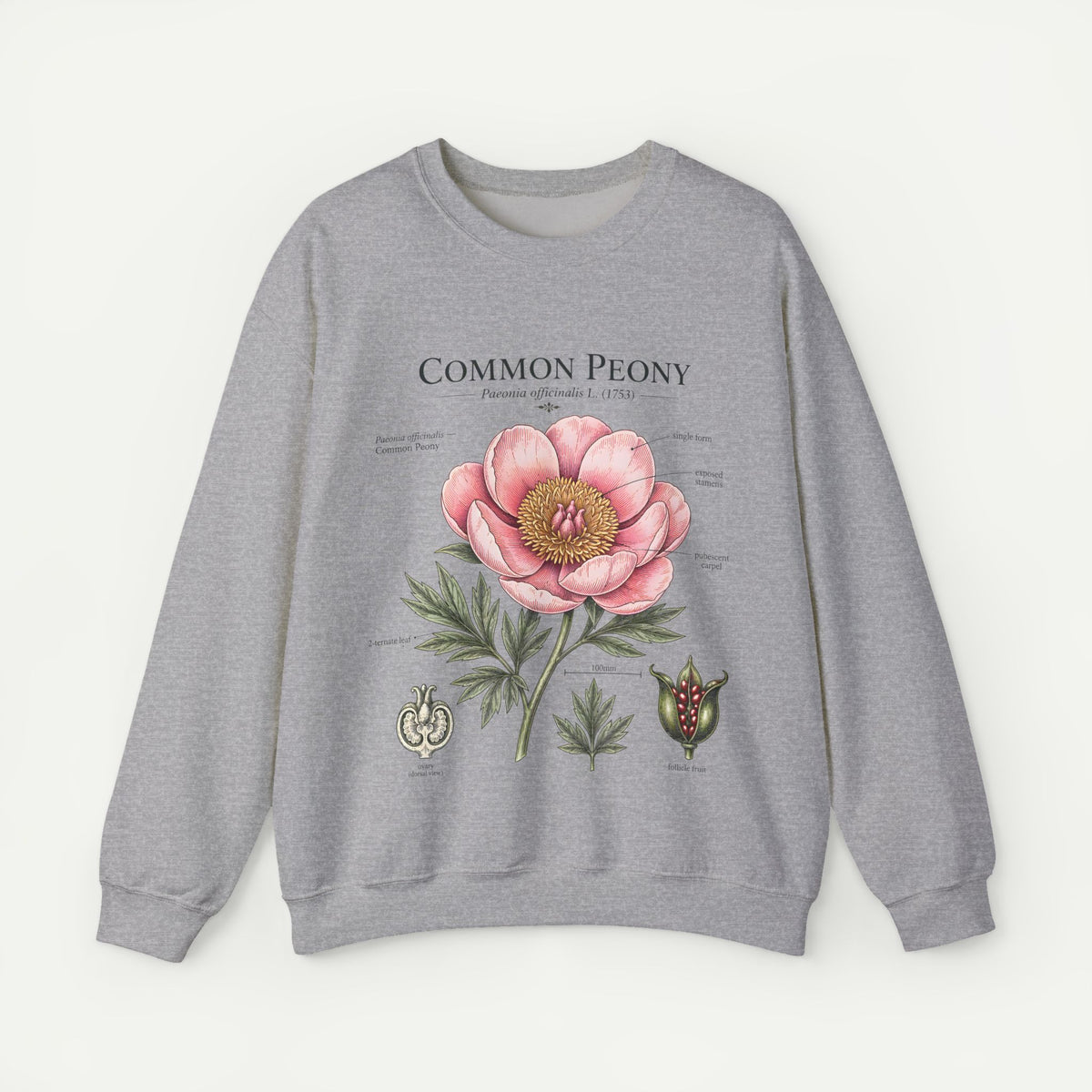 Peony Botanical Sweatshirt — "Common Peony" Floral Crewneck