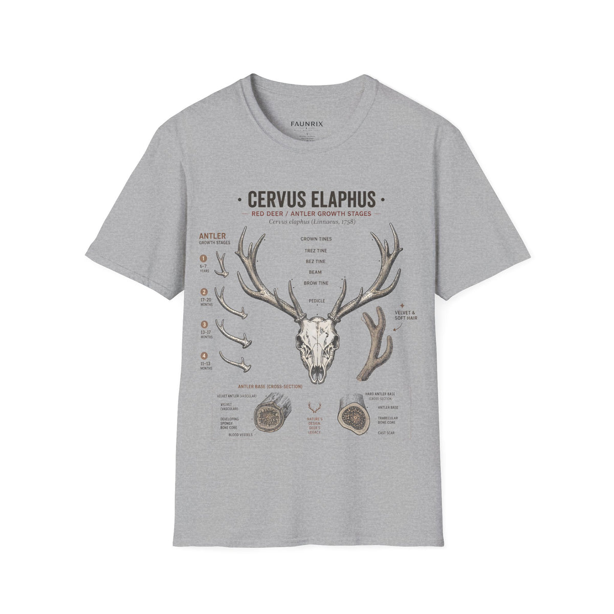 Deer Antler Anatomy T-Shirt — 'Cervus Elaphus' Educational Graphic