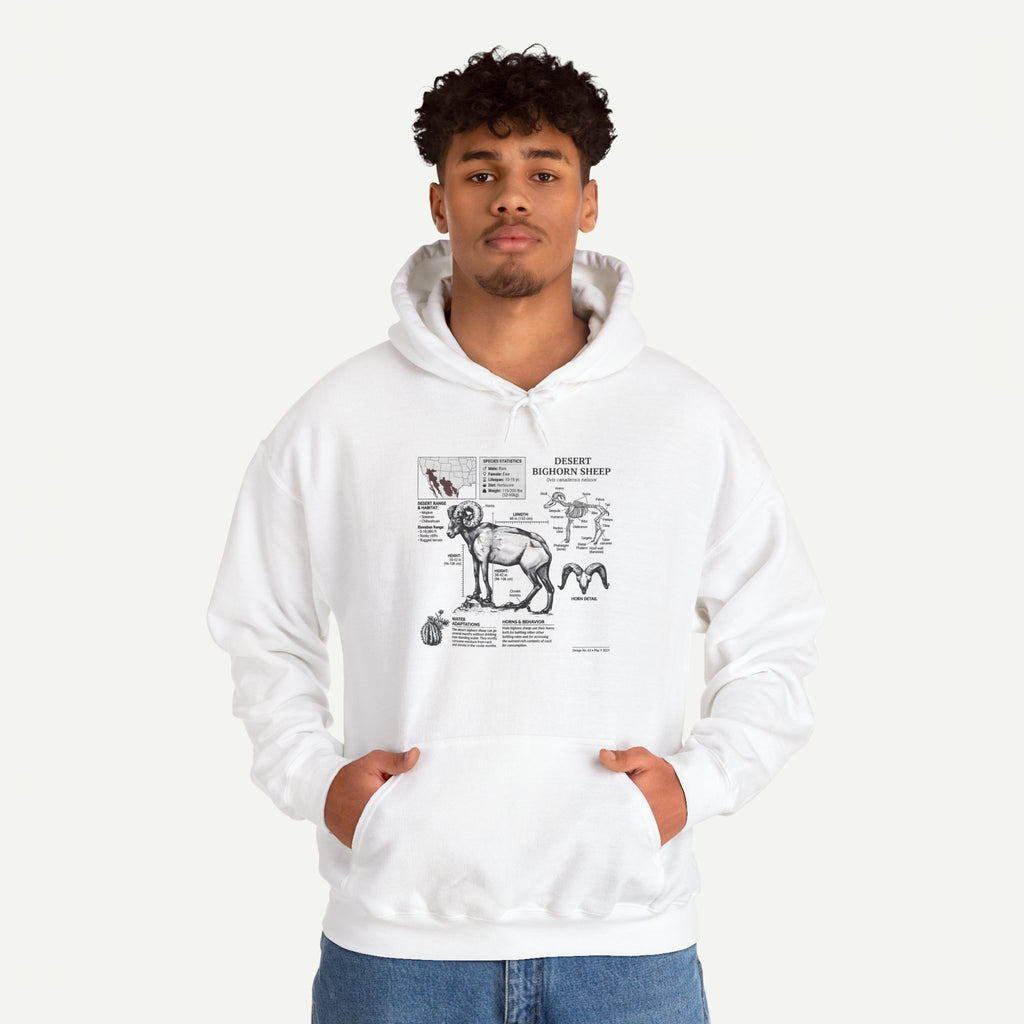 Dog Anatomy Hoodie – Vintage Canine Diagram Sweatshirt