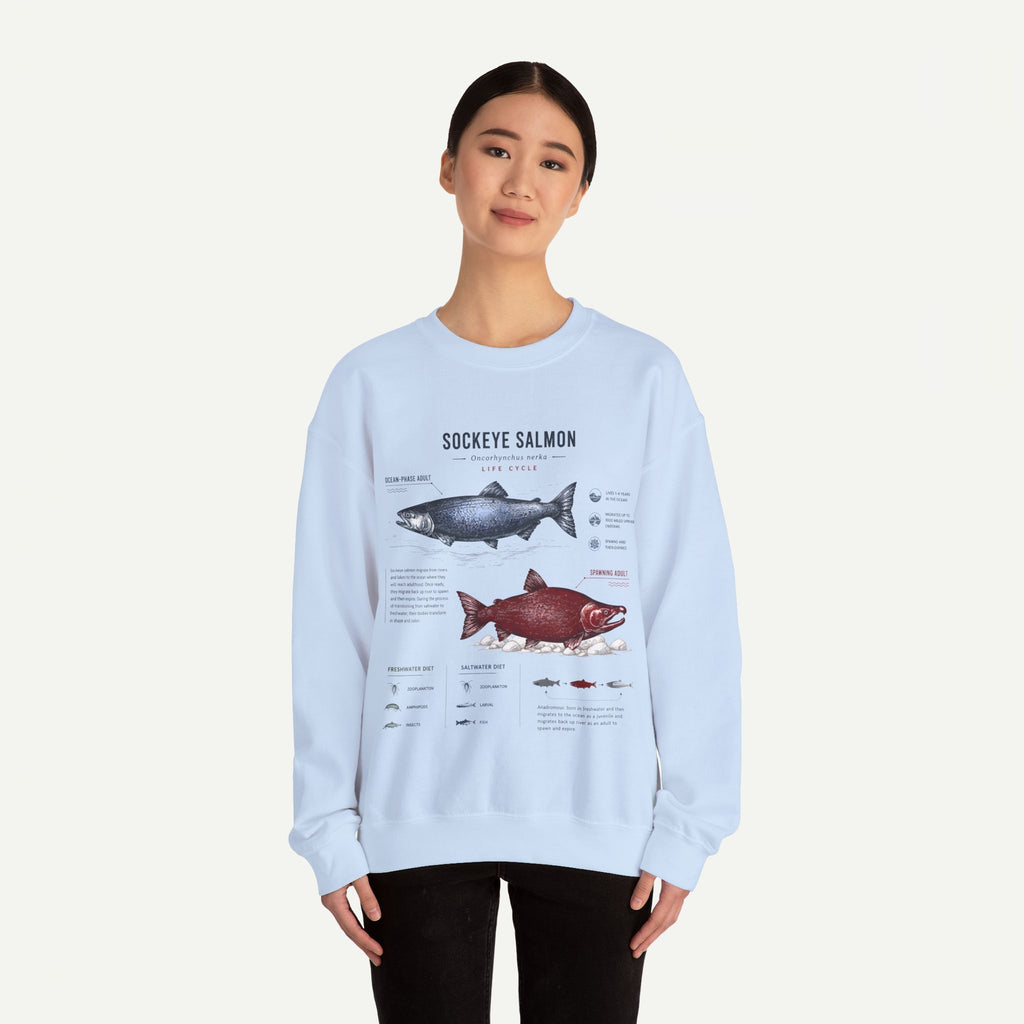 Sockeye Salmon Anatomy Sweatshirt — Fish Anatomy Graphic Crewneck