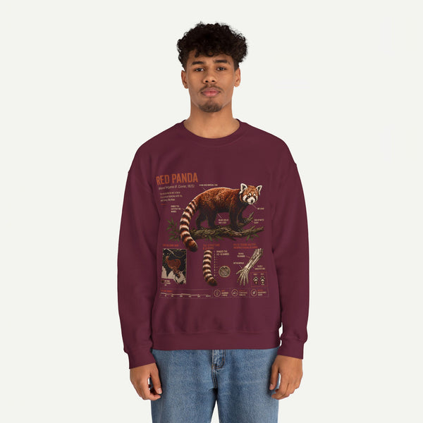 Red Panda Anatomy Sweatshirt — Vintage Wildlife Crewneck