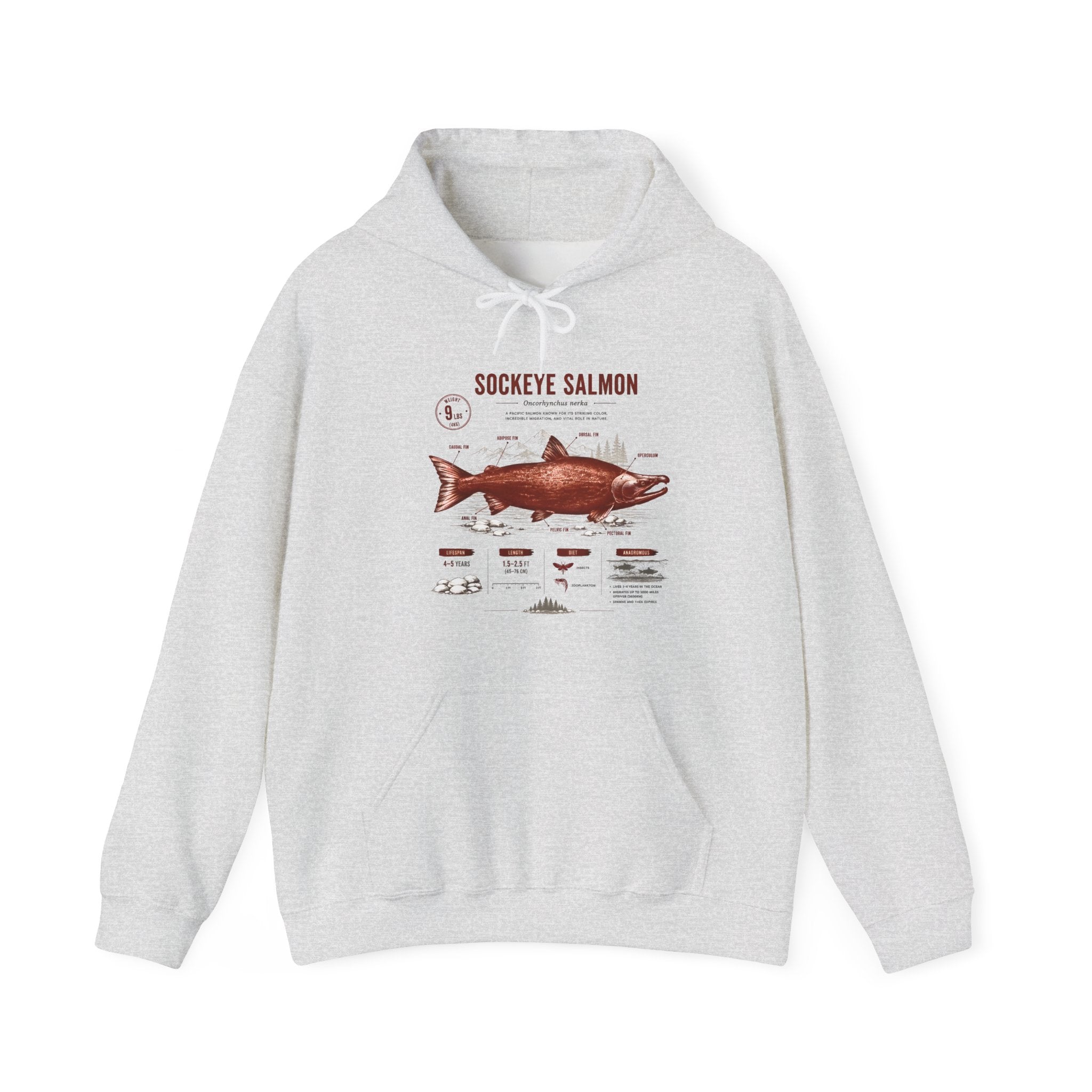 Sockeye Salmon Anatomy Hoodie — Fishing Chart Graphic Sweatshirt Secondary image