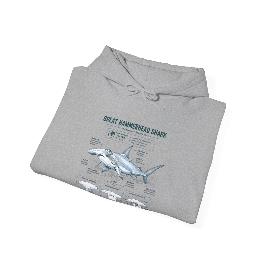 Shark Anatomy Hoodie — Great Hammerhead Shark Diagram Sweatshirt