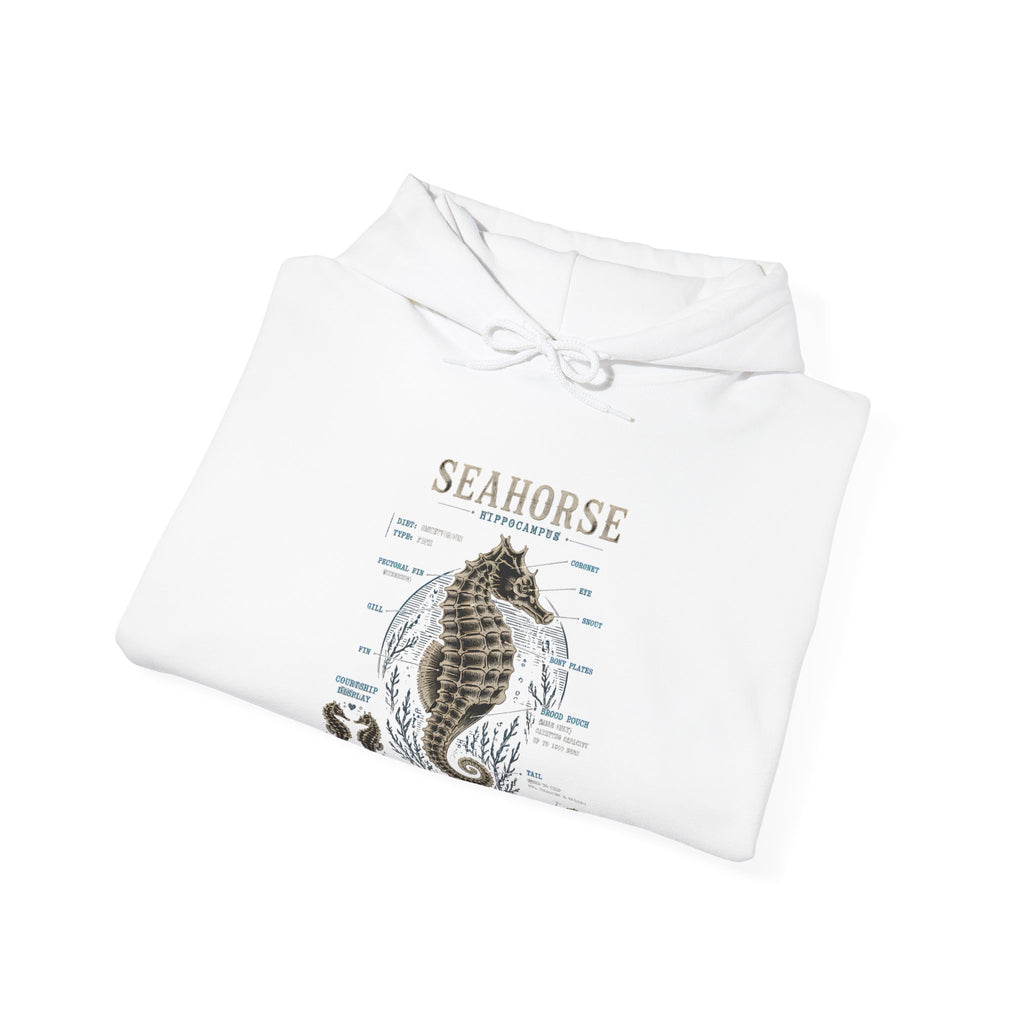 Seahorse Anatomy Hoodie — Vintage Marine Illustration Sweatshirt
