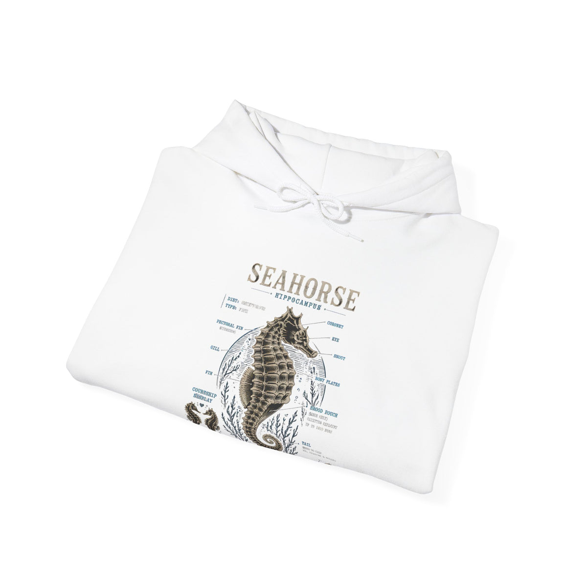 Seahorse Anatomy Hoodie — Vintage Marine Illustration Sweatshirt