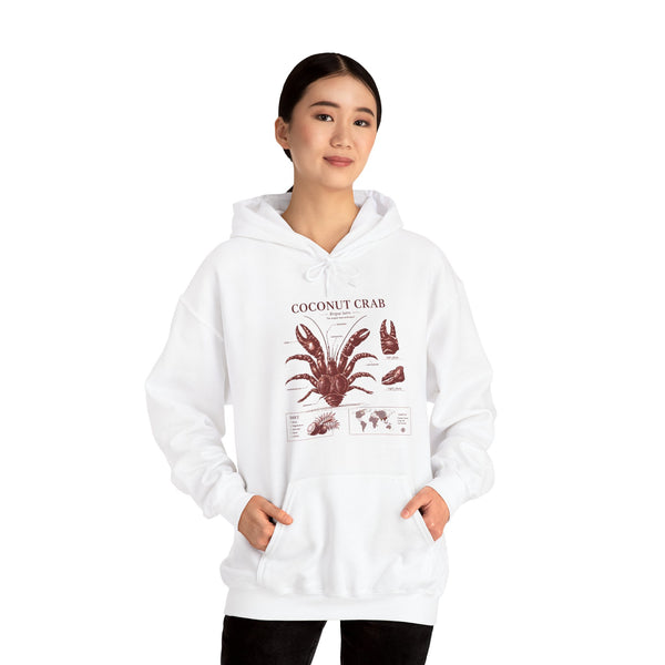 Coconut Crab Anatomy Hoodie — Vintage Botanical & Marine Study Print