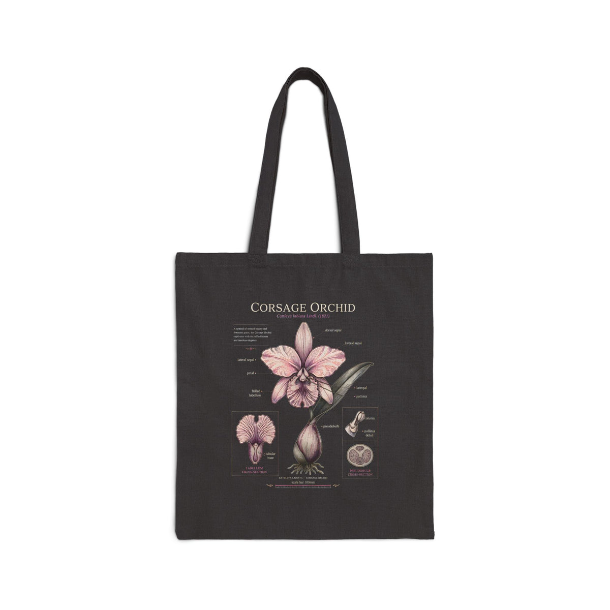 Botanical Amaryllis Canvas Tote Bag Main image