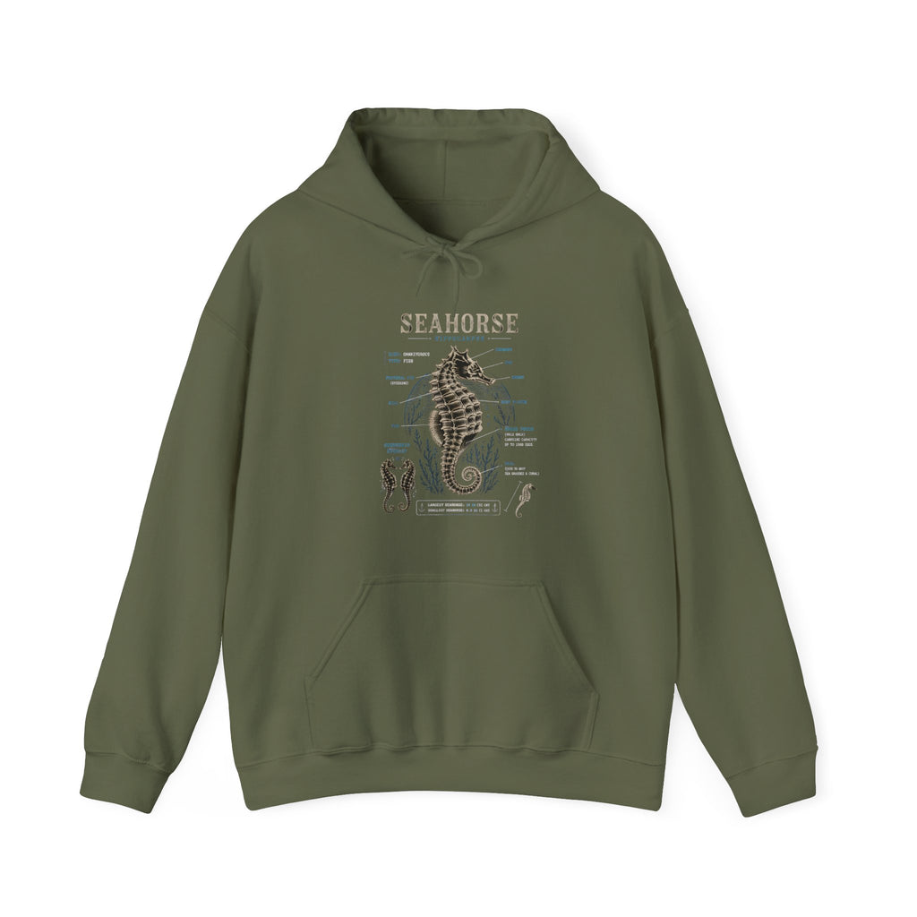 Seahorse Anatomy Hoodie — Vintage Marine Illustration Sweatshirt
