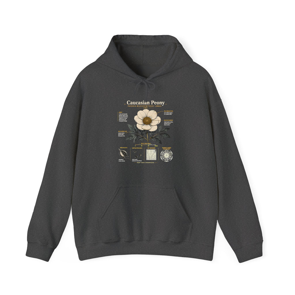 Magnolia Botany Hoodie — 'Caucasian Peony' Floral Diagram Hooded Sweatshirt